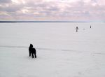 All 4 on the Ice for CKA